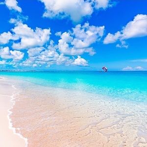 Meet your Posher, Alizabeth